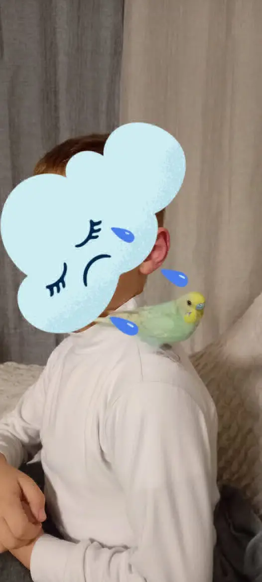 animale lost   95022 Aci Catena Neve