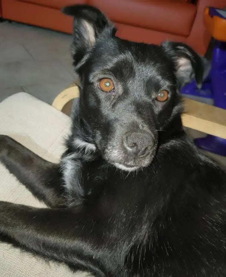 cagna lost   95048 Scordia Gloria