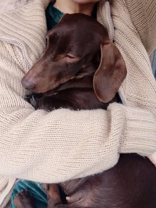 cagna lost    Pérouse Charlotte