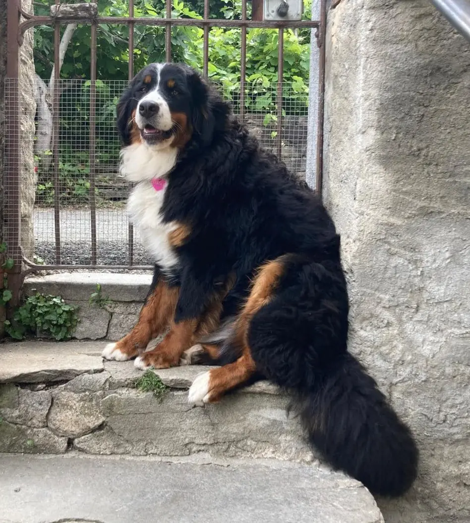 cagna reunited   01102 Quart Miriam