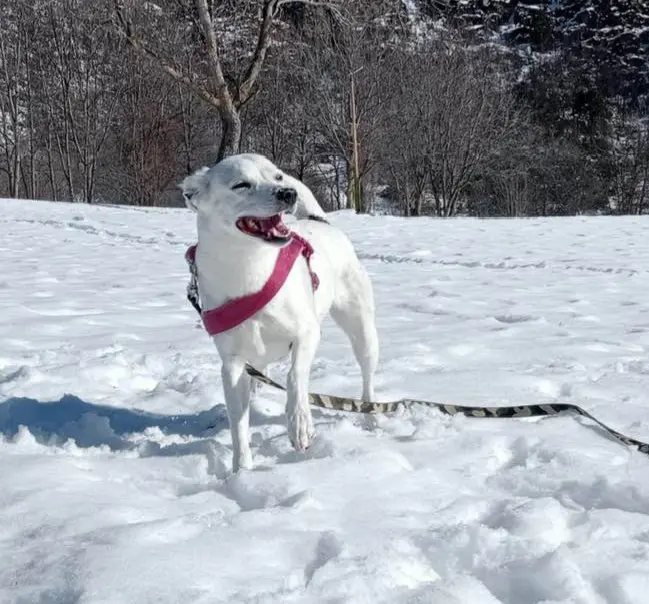 cagna reunited   11015 La Salle Oliva