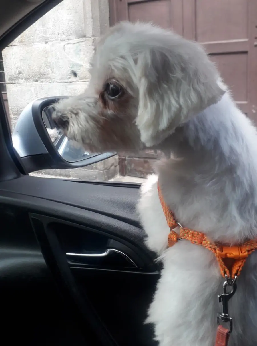 cagna reunited   24121-24129 Bergame Minu