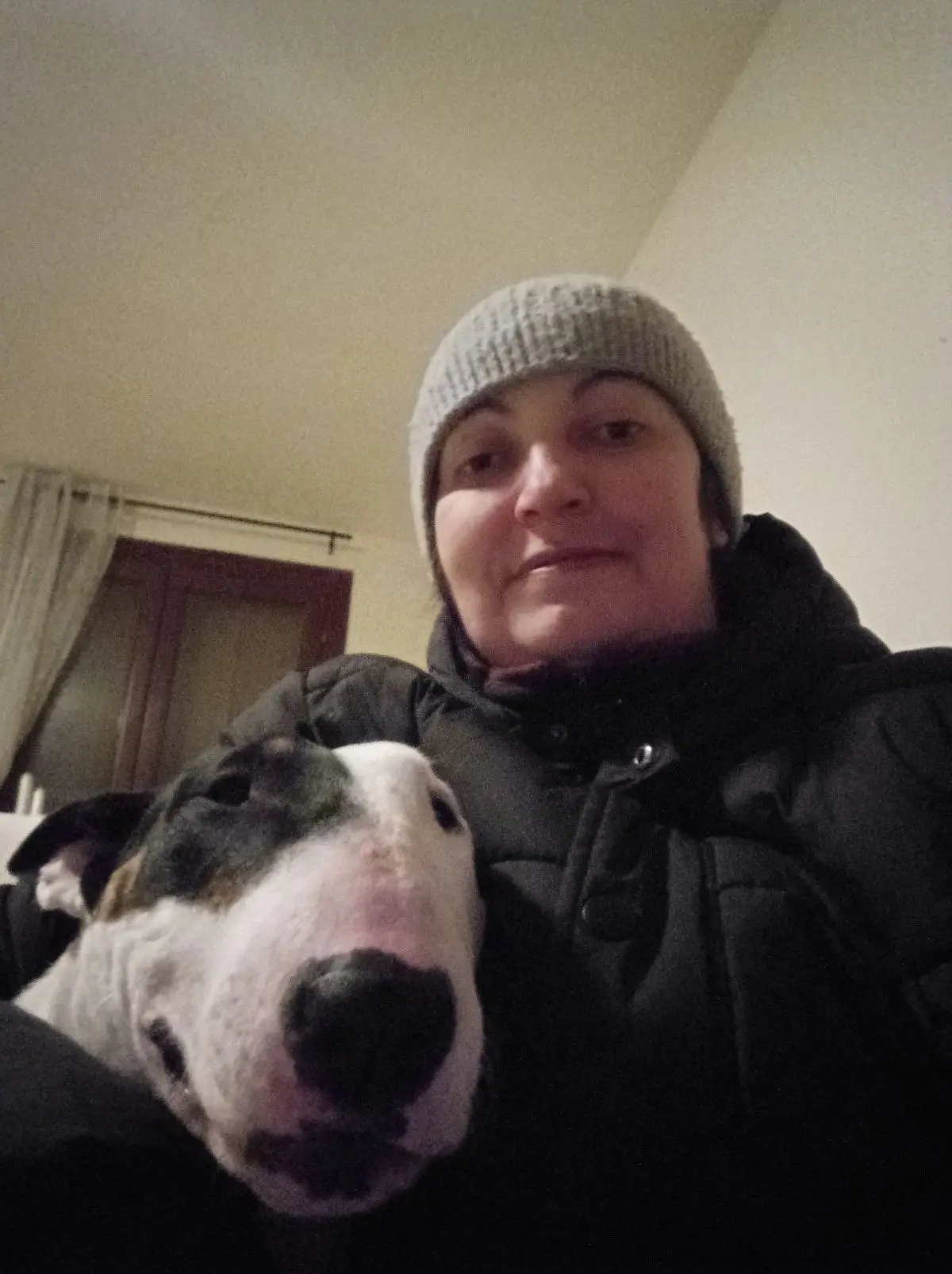 cagna reunited   25020 Pralboino Rosy