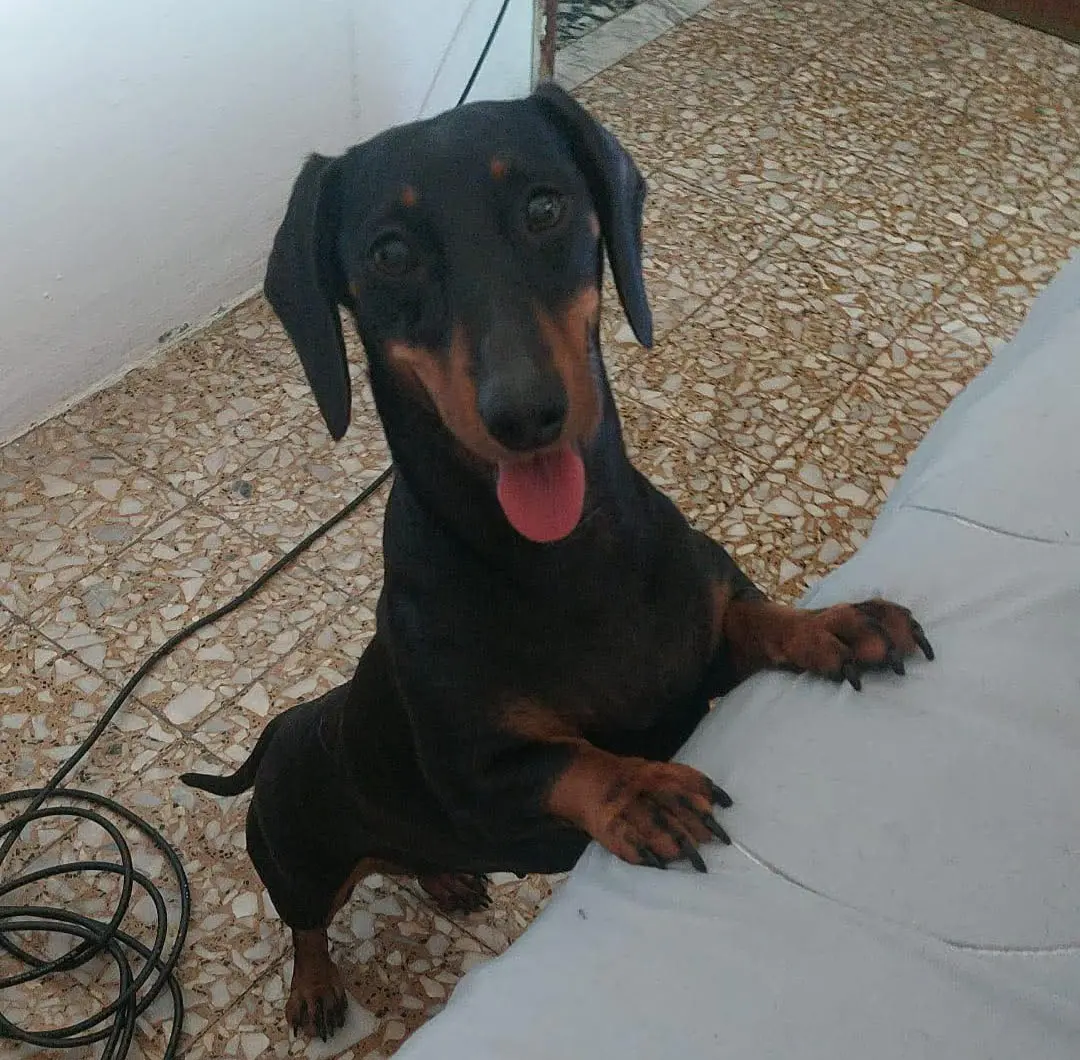 cagna reunited    Cagliari Kira