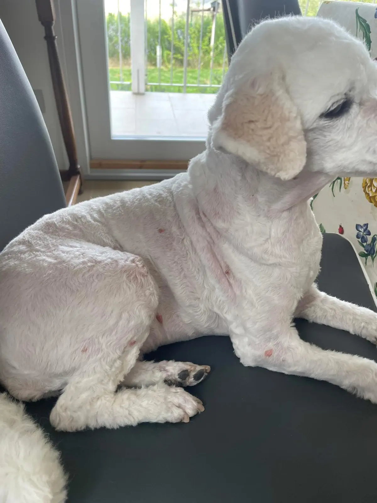 cagna reunited     Mia