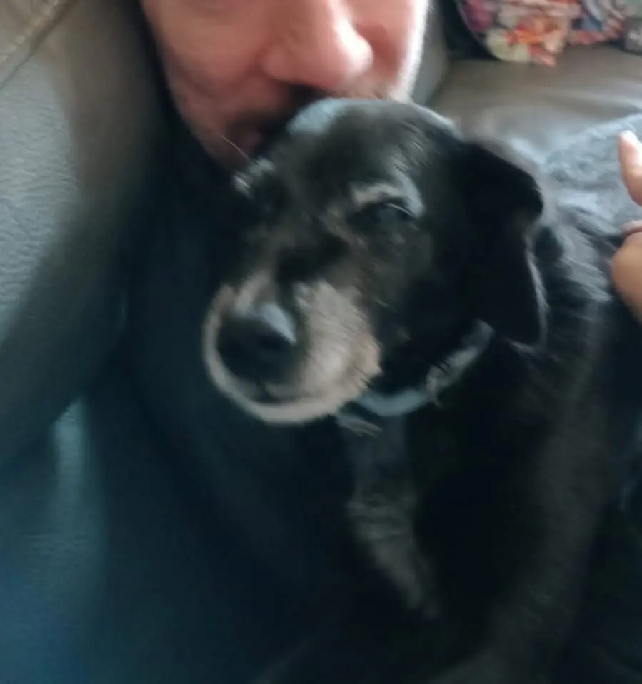 cagna reunited   63900 Fermo Lamù