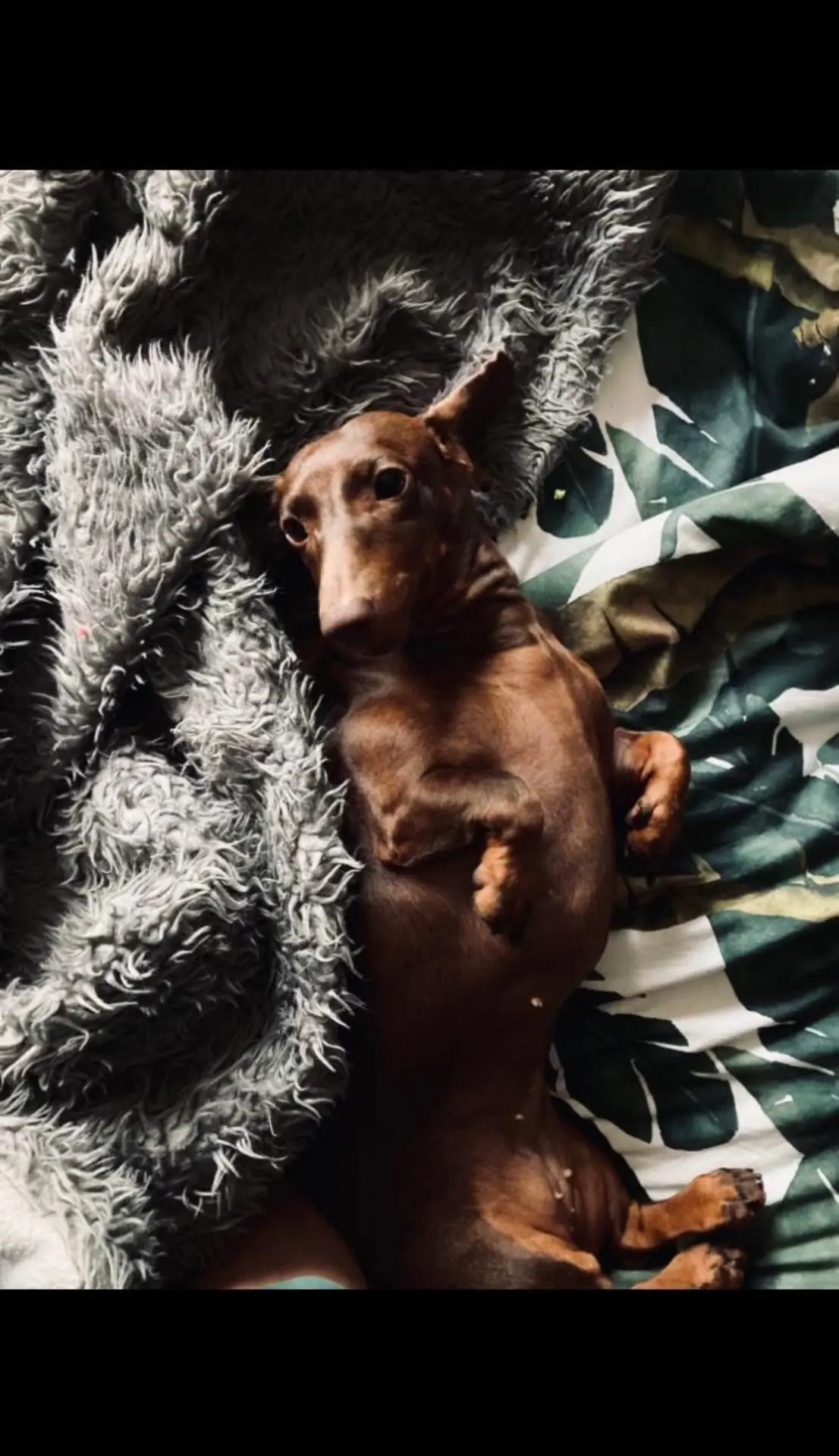 cagna reunited    La Spezia Lilith