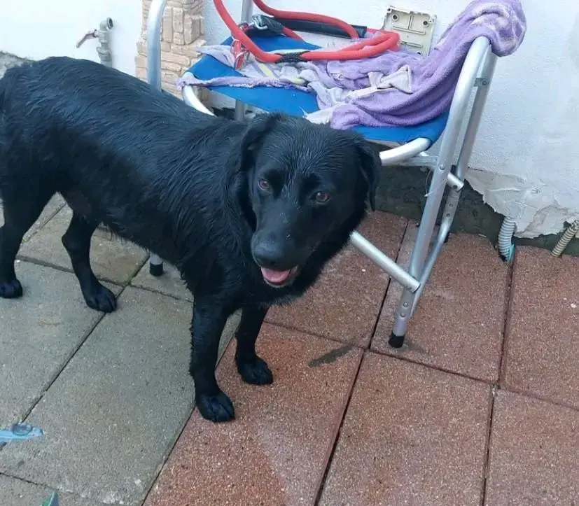 cagna reunited   09010 Portescusi/Portoscuso Heidi