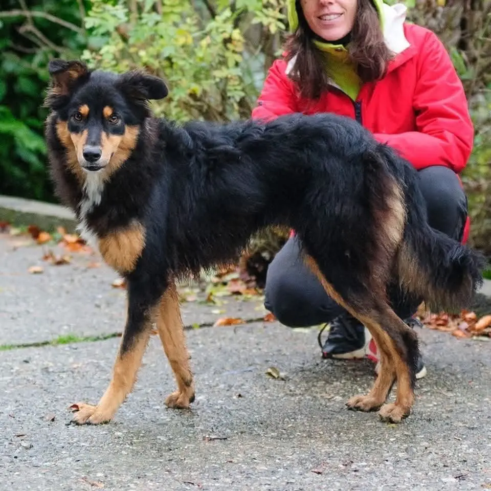 cagna reunited   17100 Savone Sky