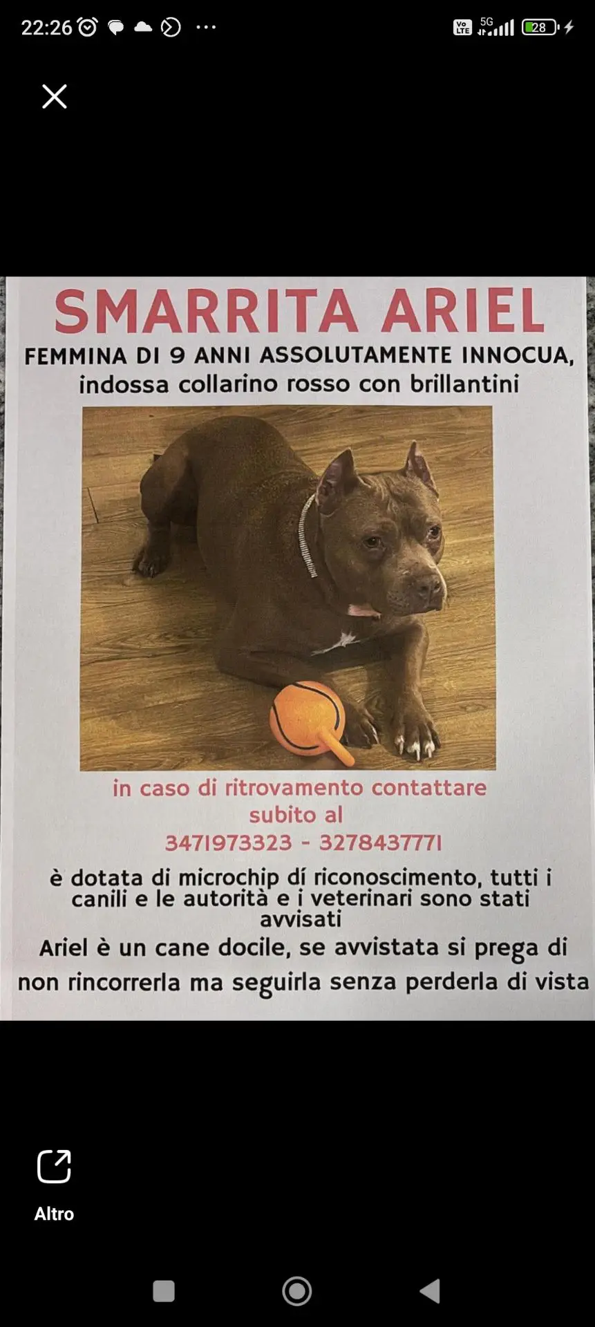 cagna reunited    Frossasco Ariel