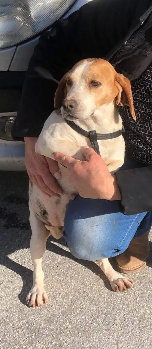 cagna reunited   10075 Mathi Luce