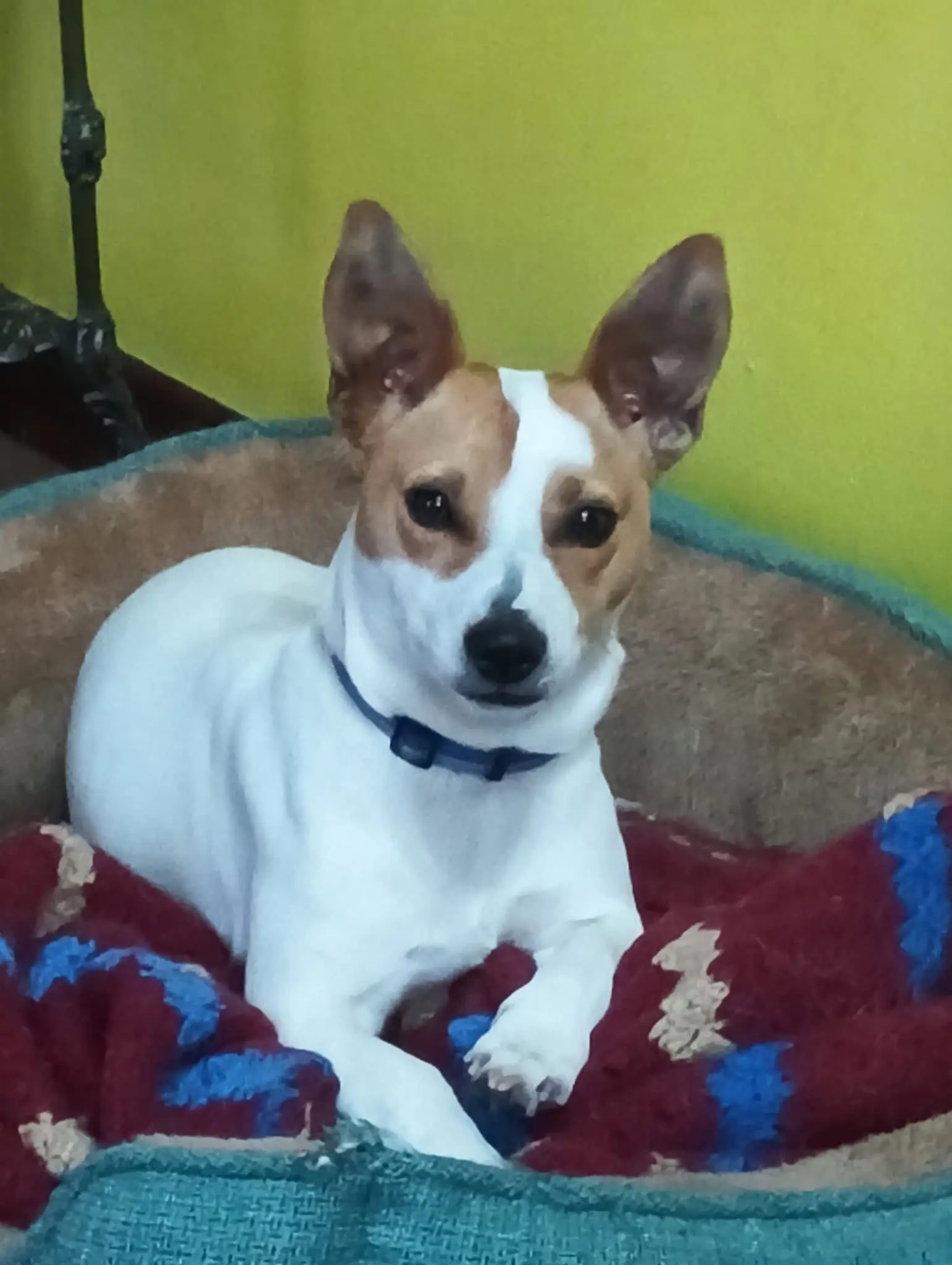 cagna reunited   10094 Javein Mina