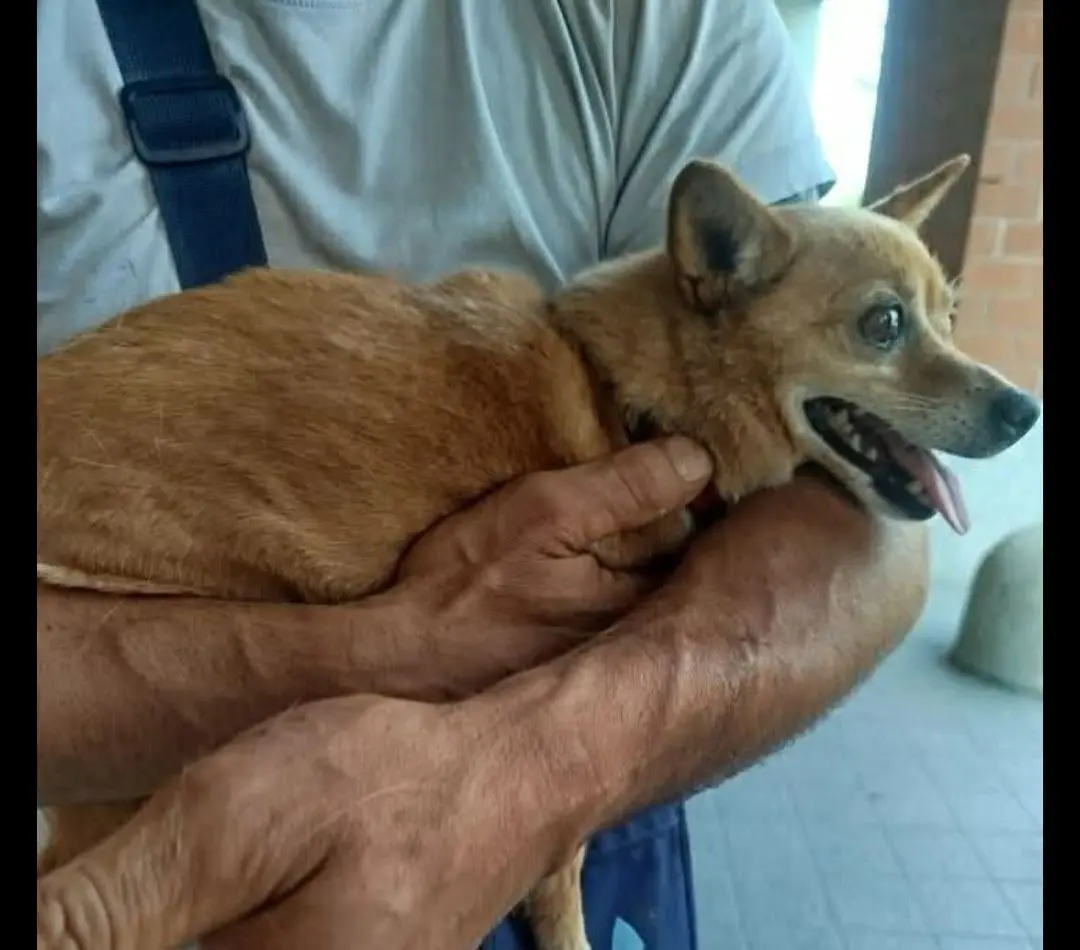 cagna reunited    Turin Trilly