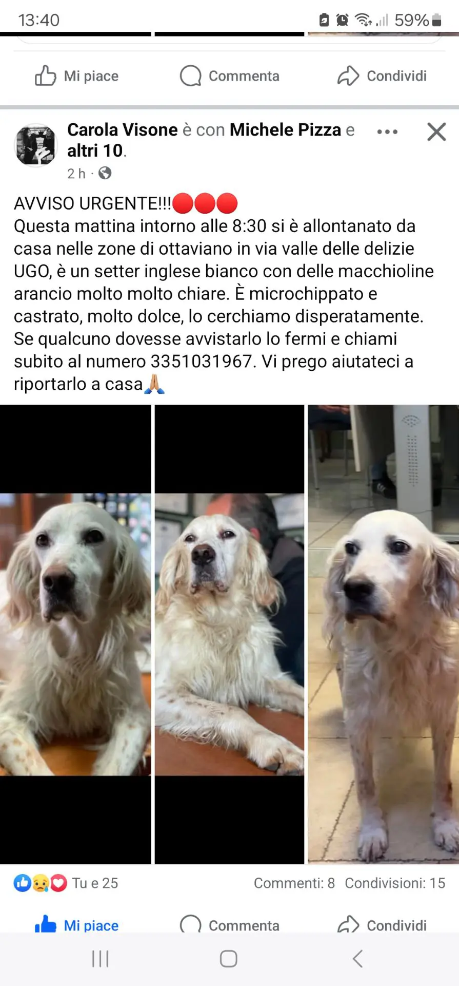 cane lost   80044 Ottaviano Ugo
