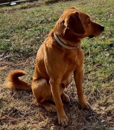 cane reunited   01102 Quart Spritz