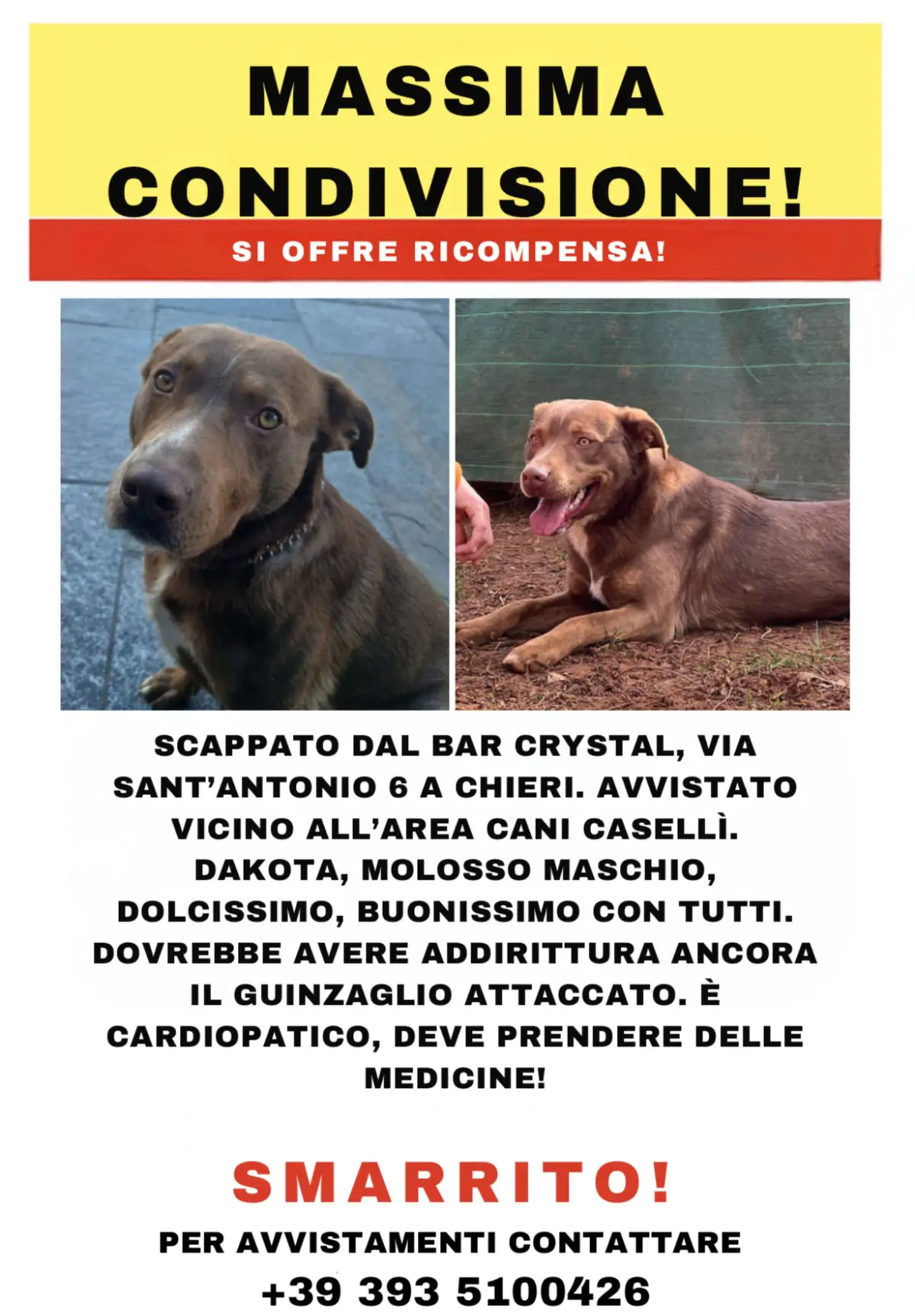 cane reunited   10023 Chieri Dakota