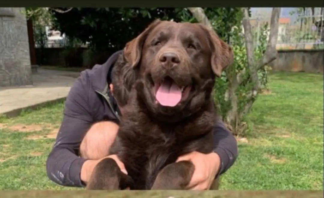 cane reunited    Corio Ralph