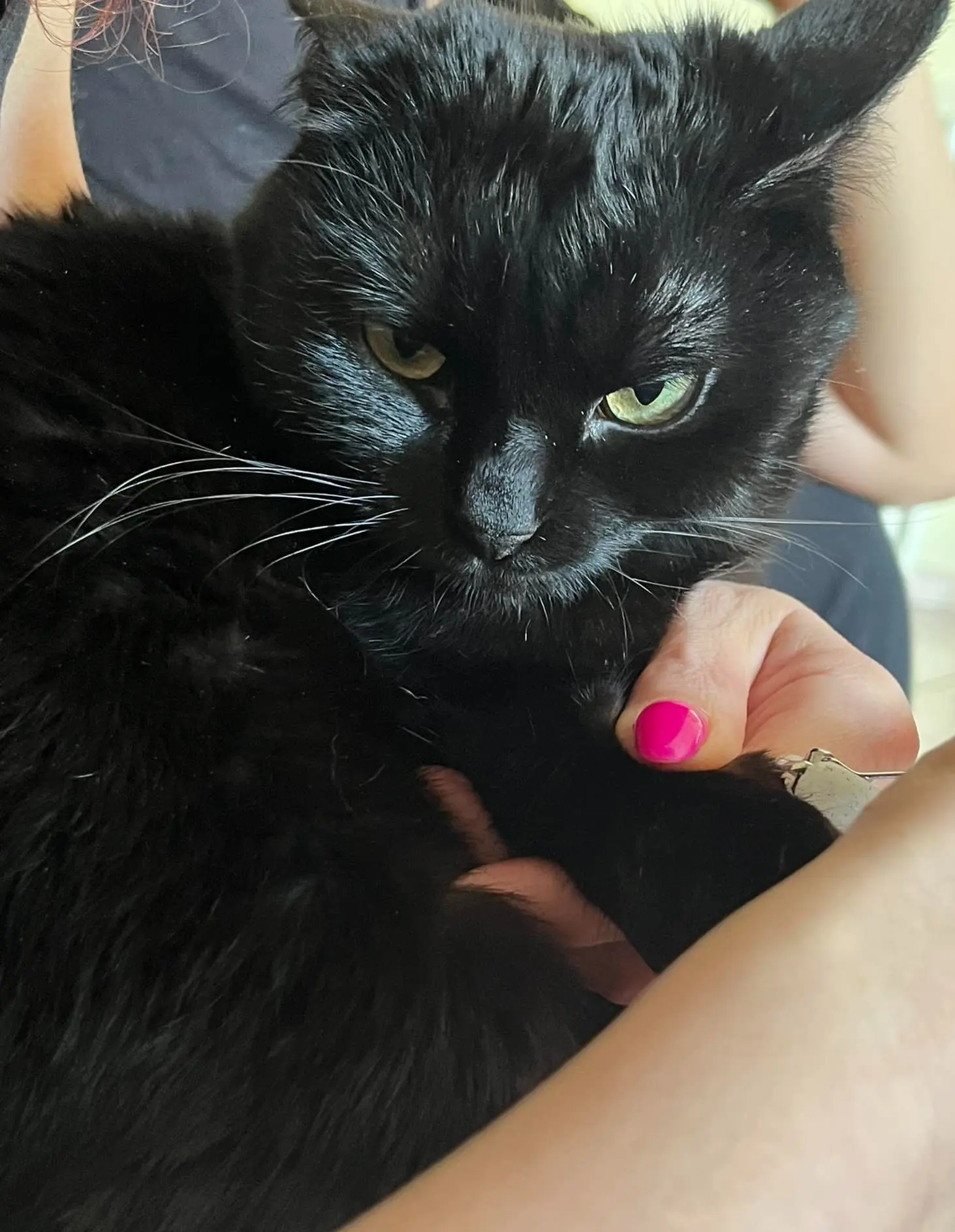 gatta reunited    Sarre Sally