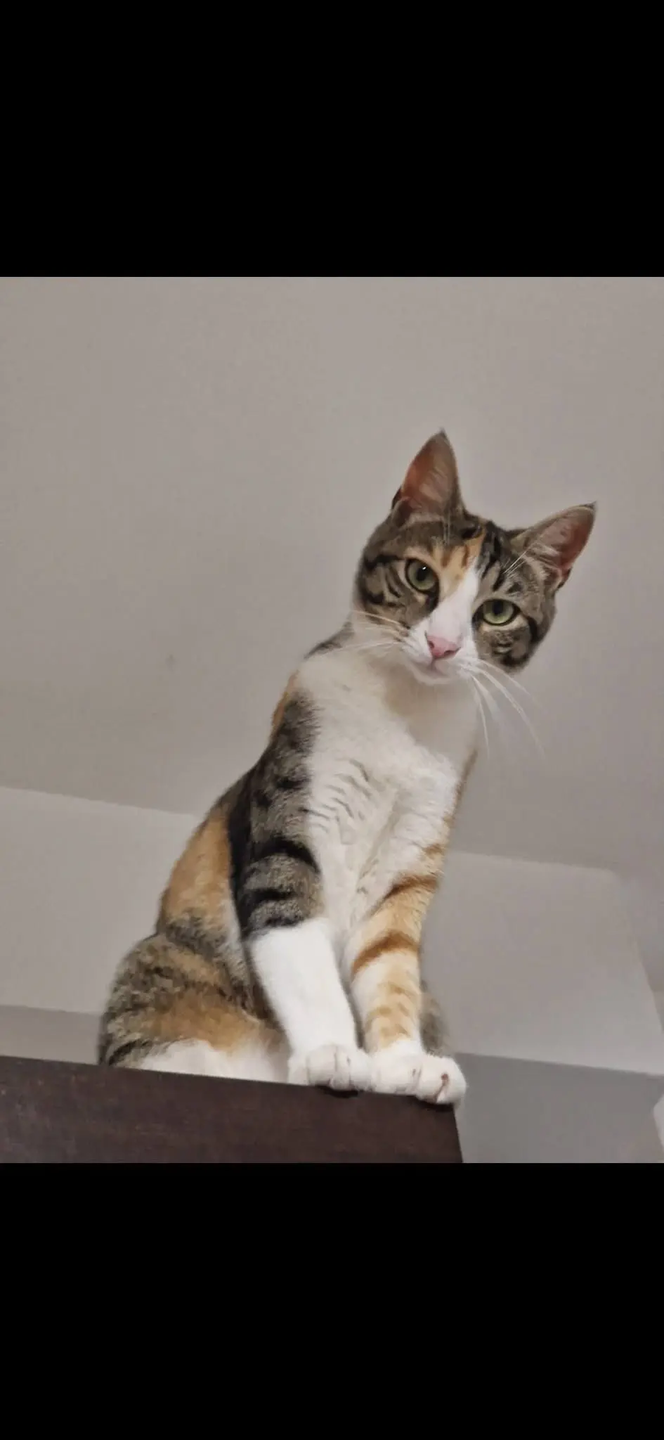 gatta reunited    La Spezia Kiki