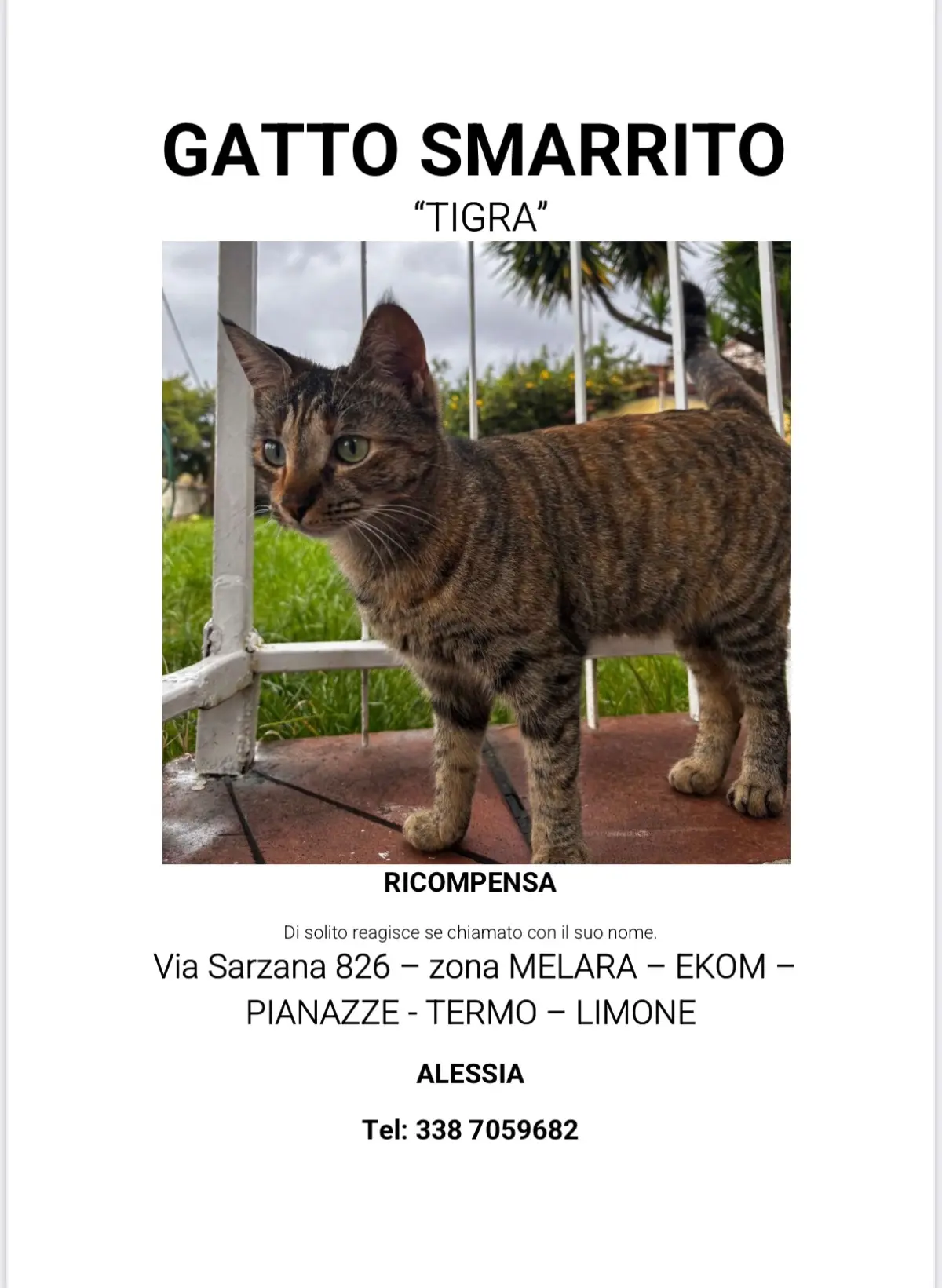 gatta reunited    La Spezia Tigra